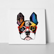 Portrait french bulldog wearing sunglasses 544897606 a