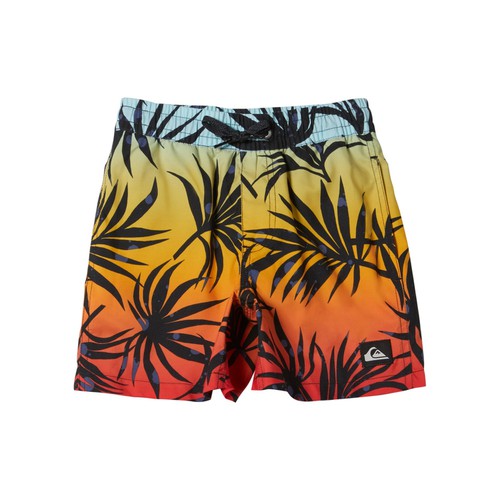 Quiksilver Boys Swimwear Mix Vly Boy 12  Jamv