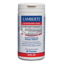 Lamberts Multi Guard Methyl - Πολυβιταμίνη, 60tabs (8435-60)