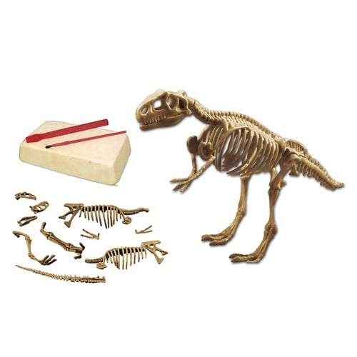 Loder Dinosaur Skelet