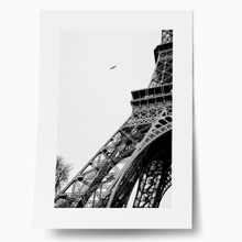 Eiffel tower and bird