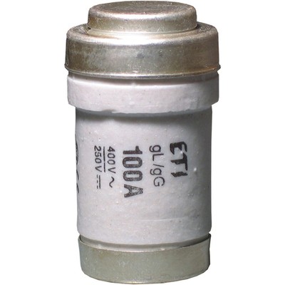 Slow-Blow Fuse Cartridge Neozed 100A D03