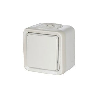 Plexo IP 55 Switch A/R Wall Mounted White 069751