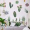 Cacti and succulent plants web