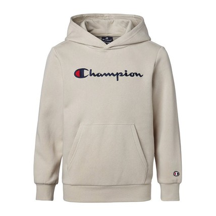 Champion Men Hooded Full Zip Sweatshirt (219210)-B