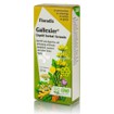 Power Health Floradix Gallexier - Πεπτικό Σύστημα, 250ml
