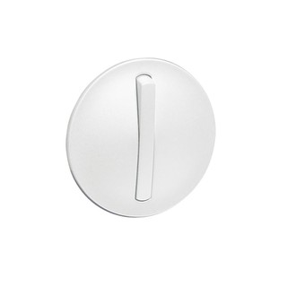 Celiane Lighting Plate Switch Narrow White 065003