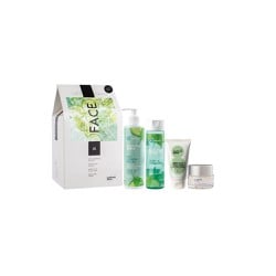Medisei Promo Panthenol Extra Gift Away Face Cleansing Milk 3 In1 250ml + Detox Tonic Lotion 200ml + Green Clay Facial Mask 75ml + Face & Eye Cream 50ml