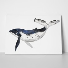 Watercolor whale hand painted illustration 491603959 a