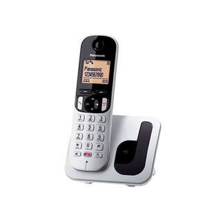 Panasonic Cordless Phone Silver KX-TGC250GRS