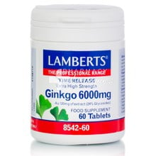 Lamberts Ginkgo Biloba Extract 6000mg - Μνήμη, 60tabs