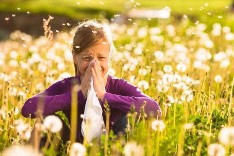 Αλλεργίες της  άνοιξης