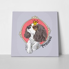 Cavalier king charles spaniel puppy princess 552259141 a