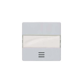 Delta Switch Plate with Label Holder and Window Sy