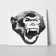 Angry monkey painting water  790076809 a