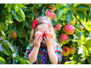Η υγιεινή διατροφή βελτιώνει τις ικανότητες και δεξιότητες των παιδιών, σύμφωνα με νέα έρευνα