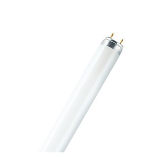Fluorescent Lamp T8 L 30W/840 4000K 2400lm 4050300