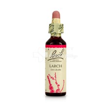 Bach Remedies LARCH (19) - Ανθοΐαμα Λάριξ, 20ml