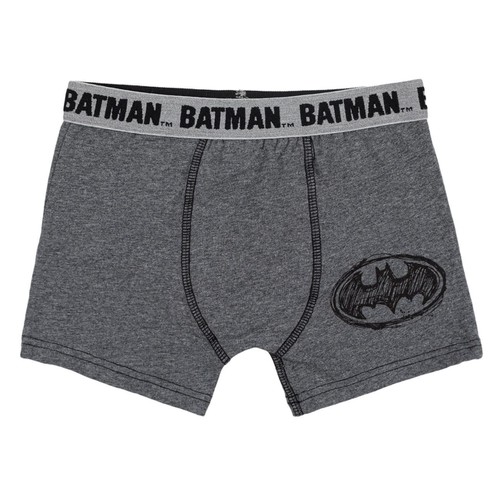 Boxer gri me batman 8-10 vjec