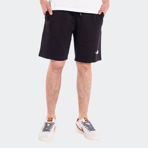 THE NORTH FACE STANDARD SHORTS