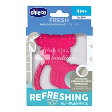 Chicco Fresh Teether - Δροσιστικός Κρίκος Οδοντοφυΐας - Αρκουδάκι Ροζ (4m+), 1τμχ. (28150-10)