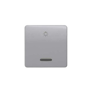 Switch Plate with Light Symbol Silver 5TG7926