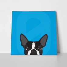 Boston terrier silhouette blue 481569100 a