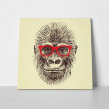 Orangutan monkey hipster 322399277 a