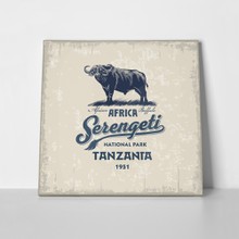 African buffalo serengeti national park 545677819 a