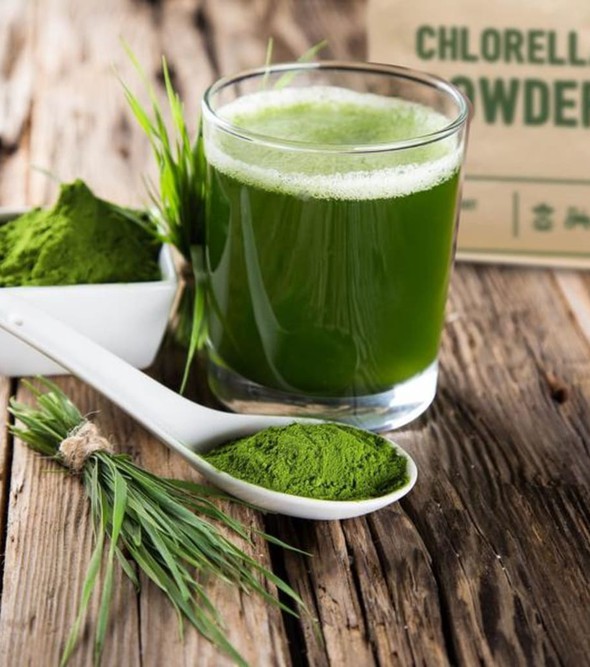Why chlorella is necessary in summer