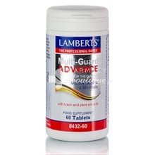 Lamberts Multi Guard Advance - Πολυβιταμίνη (50+ ετών), 60tabs (8432-60)