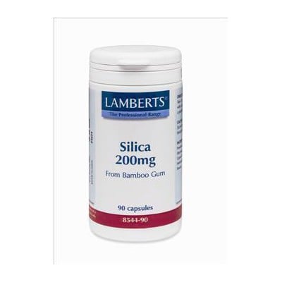 Lamberts Silica 200mg 90caps