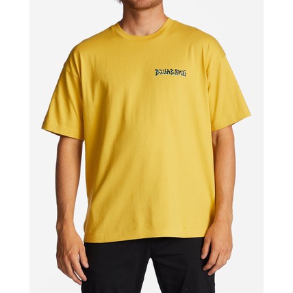 Billabong Men T-Shirts Harmony Ss (ABYZT01749-YHL0