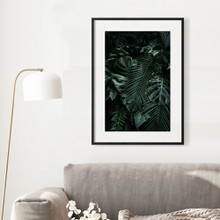 Tropical monstera leaves wall