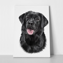 Drawing dog breed black labrador 373895239 a