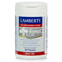 Lamberts MULTI GUARD ADR - Πολυφόρμουλα Ενέργειας, 120tabs