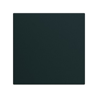 Gallery Πλακίδιο Διακόπτη 2 Στοιχείων Μαύρο WXD000
