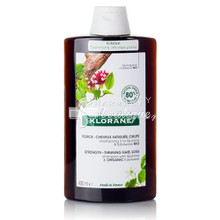 Klorane Shampoo Quinine & Edelweiss BIO - Τριχόπτωση, 400ml