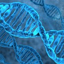 DNA: αποκάλυψη ταυτότητας