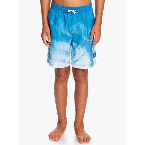 Quiksilver Youth Boys Everyday Faded Logo 15" - Sw