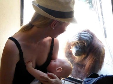 Experiența inedită a unei mame la grădina zoologică 