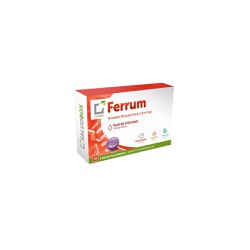 Saludbox Ferrum Τσίχλες Σιδήρου Φολικού Οξέως & Βιταμίνης Β12 Με Γεύση Μέντα 30 μασώμενες τσίχλες