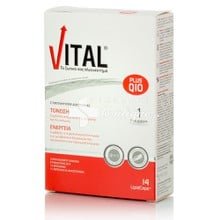Vital Plus Q10 - Πολυβιταμίνη, 14 lipidcaps