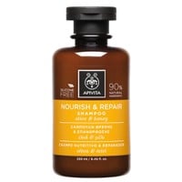 Apivita Nourish & Repair Shampoo Olive & Honey 250