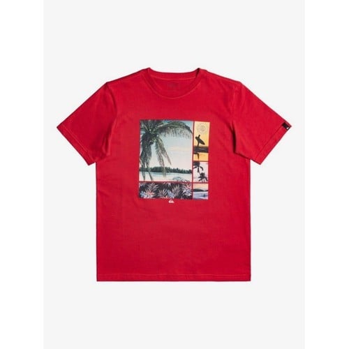 Quiksilver Hidden Cove - T-Shirt for Boys 8-16 (EQ