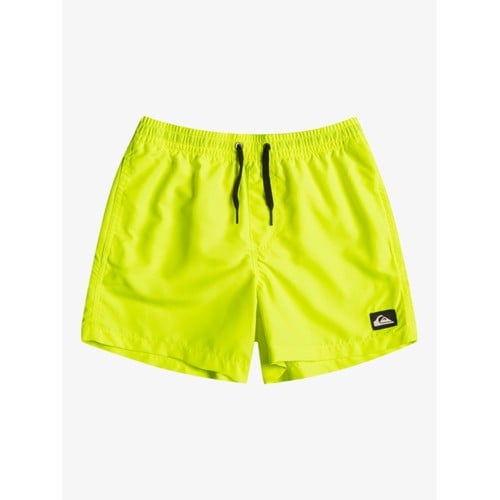 Quiksilver Youth Boys Everyday Volley Youth 13 (EQ