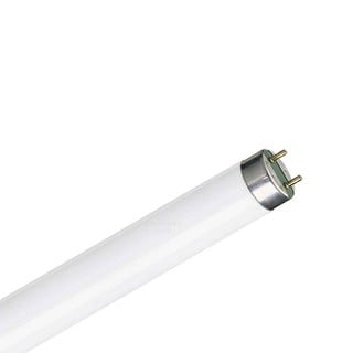 Fluorescent Lamp Τ8 A-980 15W/368BL 401000015