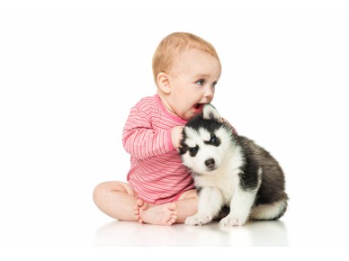 Куче у дома – по-малък риск от астма