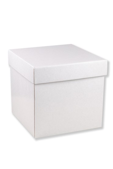 Κουτιά 10 τμχ. χάρτινα λευκά τετράγωνο σε μέγεθος 17Χ17Χ17εκ.