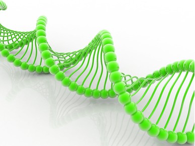 DNA: Οι εφαρμογές